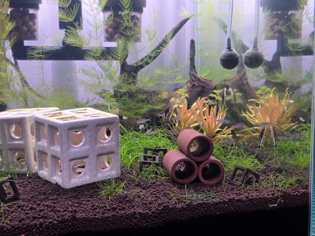 Aquarium setup photo 2