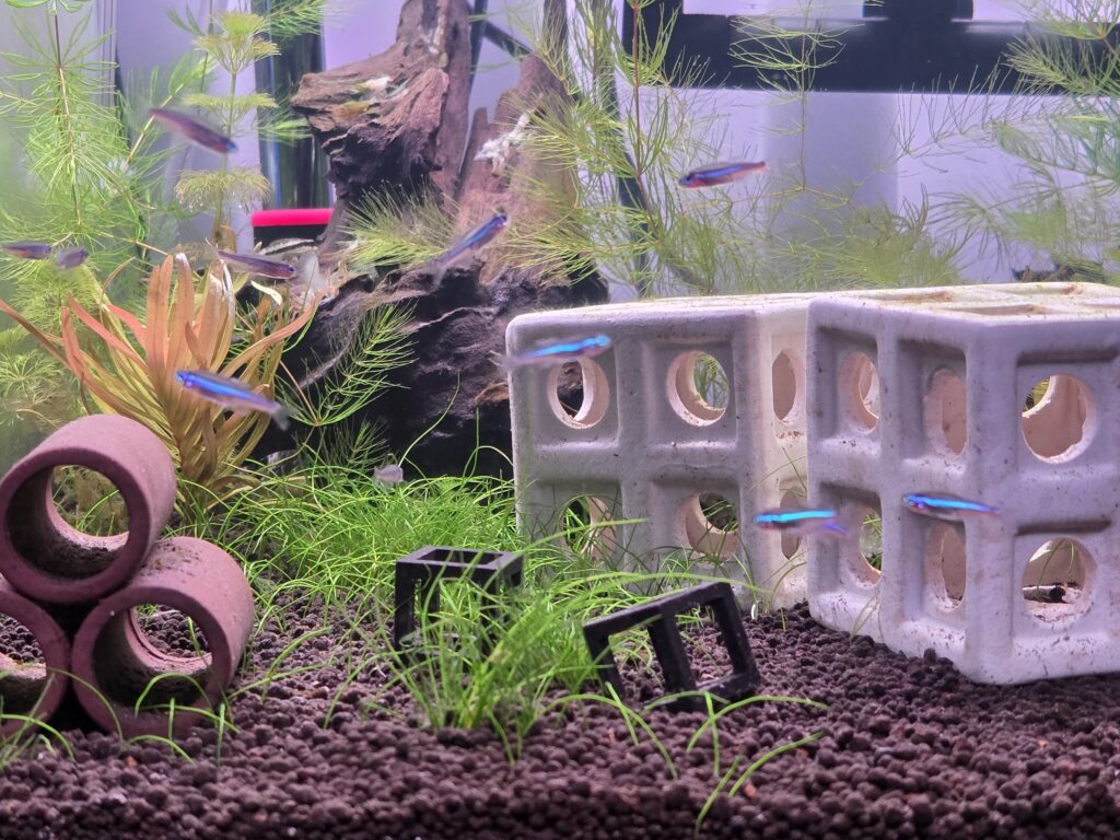 Aquarium setup photo 3